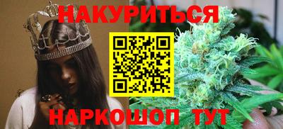 дмт Будённовск