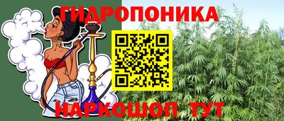 дмт Будённовск