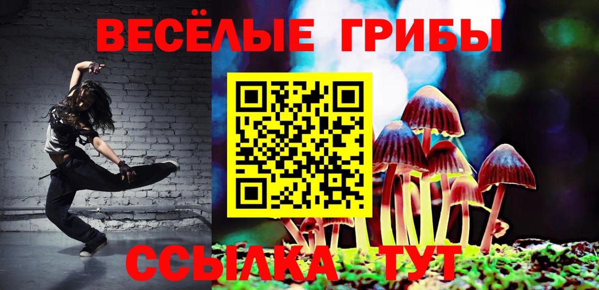 Галлюциногенные грибы MAGIC MUSHROOMS Костомукша