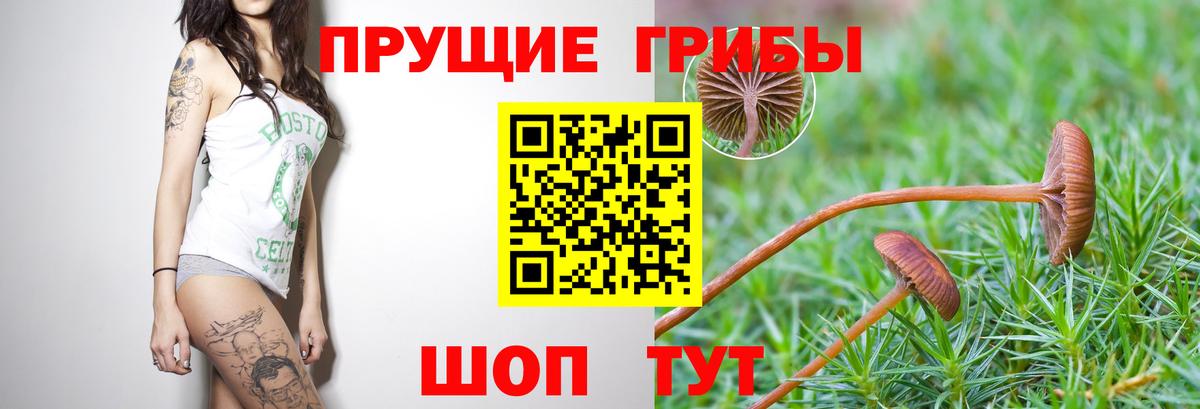 Как найти закладки?  Гашиш  Cocaine  LSD-25  Вход с VPN  Костомукша  МЕФ кристаллы  Конопля 