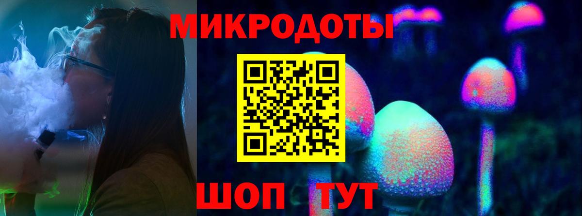 Псилоцибиновые грибы Psilocybine cubensis  Вход с VPN  Костомукша 